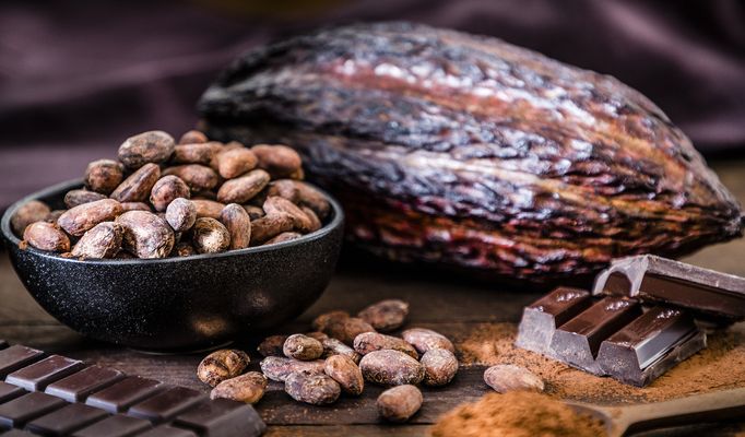 Vegan Dark Chocolate